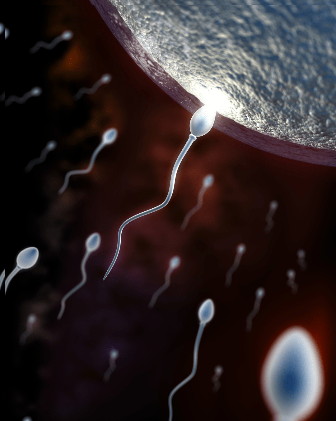 Coraz mniej dzieci...